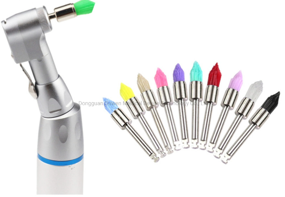 Brosse de prophy consommable colorée pour la santé bucco-dentaire