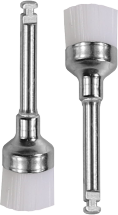 Brosse prophétie 