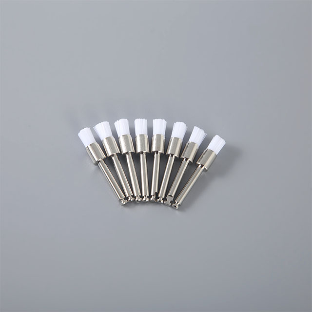 Brosse de prophétille durable en bleu de la dentisterie