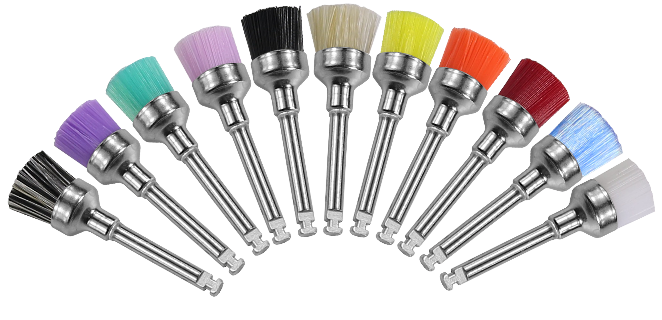 Brosse de prophy consommable pour une utilisation quotidienne