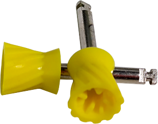 Dentisterie plate facile à utiliser la tasse de prophy