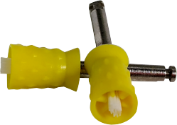 Tasse de prophy colorée colorée pour zone dentaire