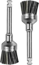 brosse prophéale 