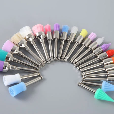Bristle Brosse prophy durable pour le matériau intégré